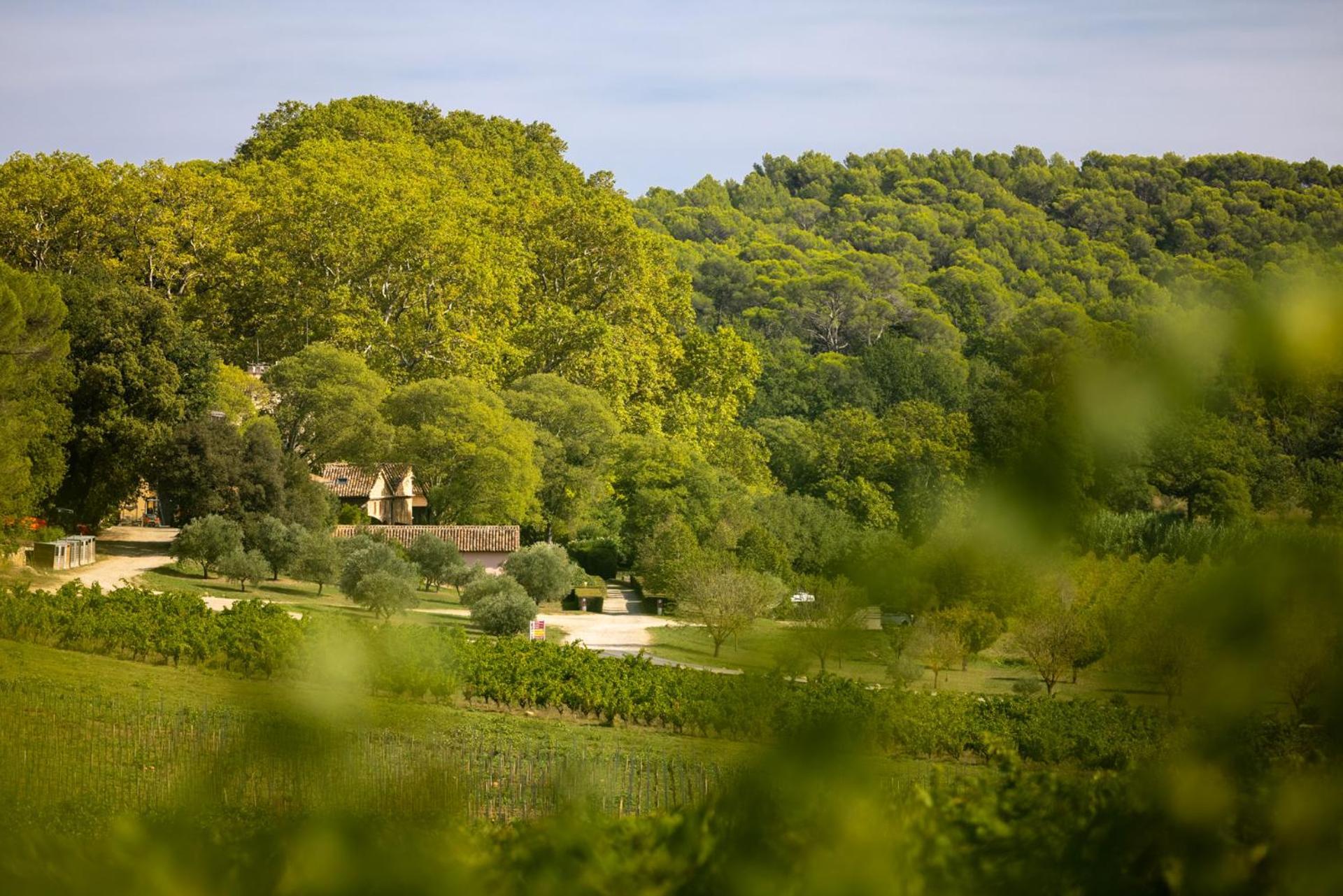 Chateau Mentone Masseboeuf Luaran gambar